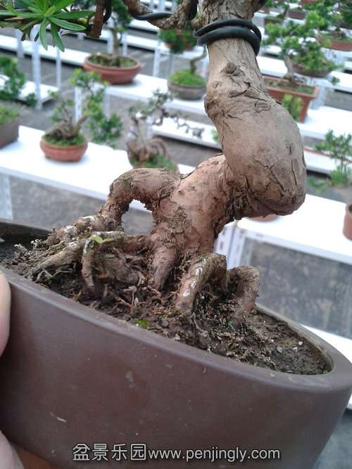 2013-08-28 17.27.58.jpg