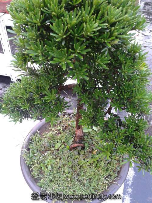 2013-08-28 17.52.30.jpg