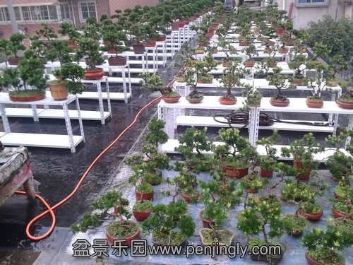 2013-08-28 17.56.27.jpg