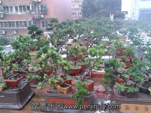 2013-08-28 17.57.49.jpg