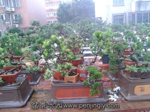 2013-08-28 17.57.58.jpg