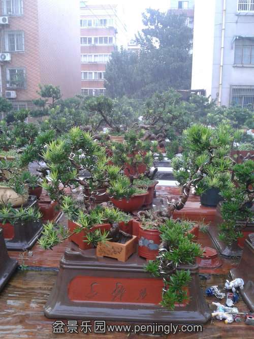 2013-08-28 17.58.10.jpg