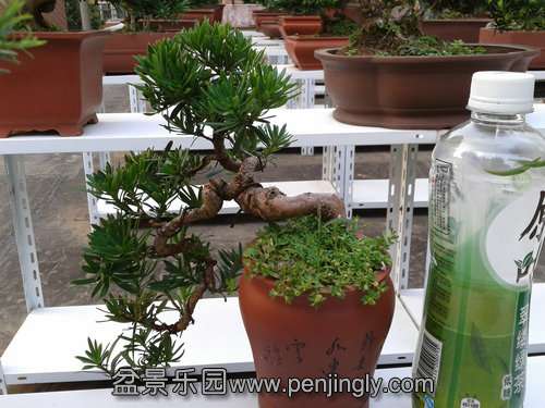 2013-08-28 17.11.46.jpg