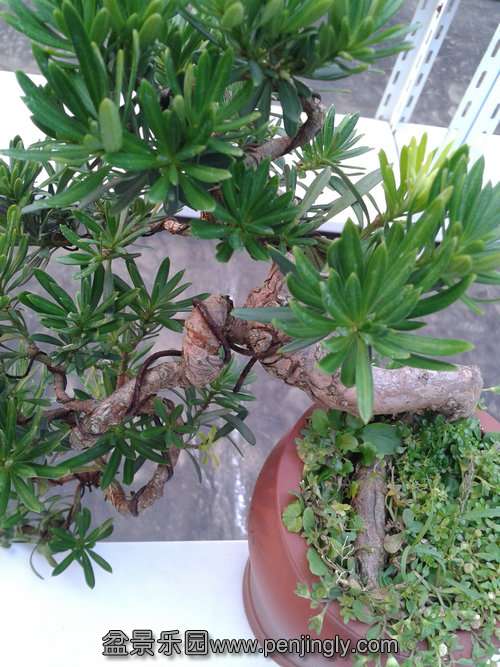 2013-08-28 17.13.23.jpg