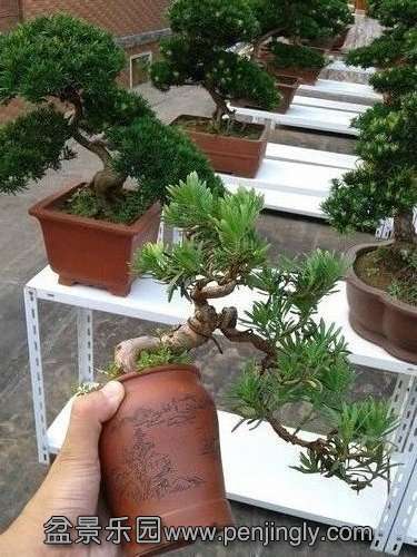 2013-08-28 17.16.16.jpg