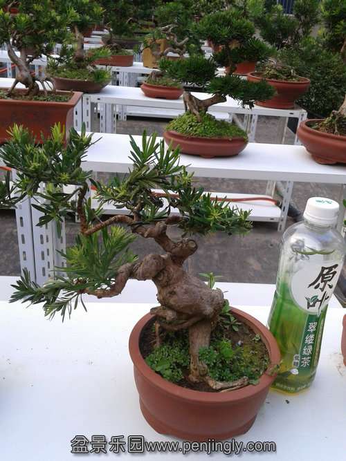 2013-08-28 17.39.06.jpg