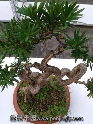 2013-08-28 17.07.34.jpg