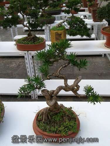 2013-08-28 17.08.05.jpg