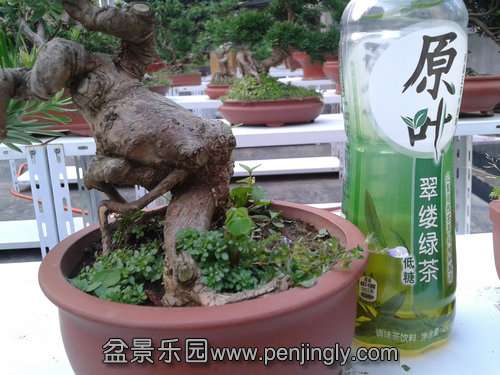 2013-08-28 17.38.52.jpg