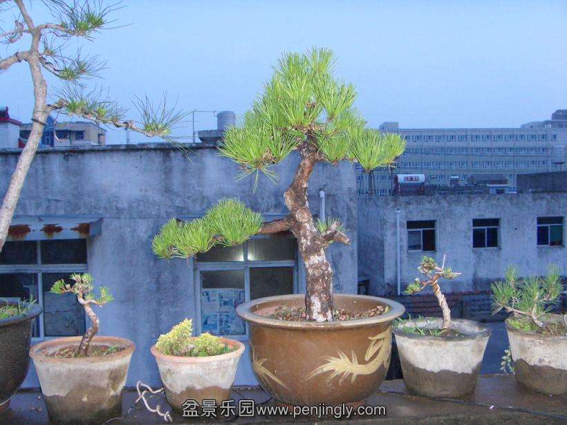 SDC12686.JPG