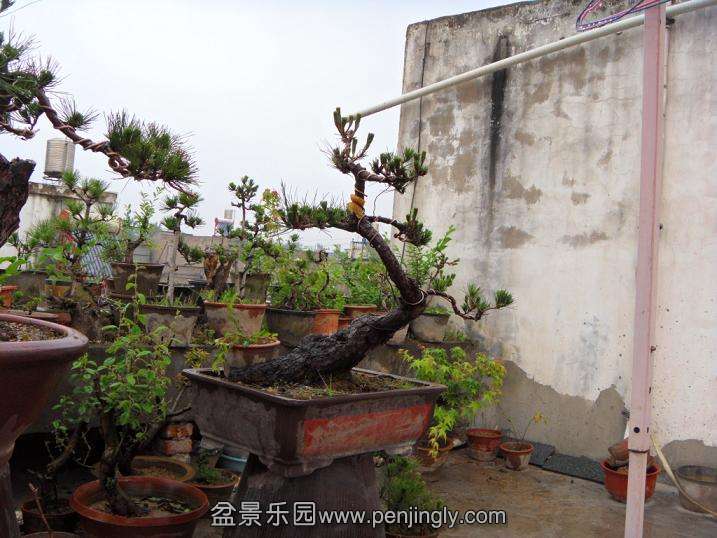 SDC12636.JPG