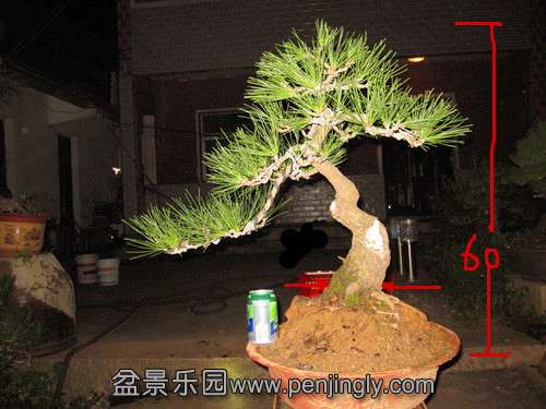 IMG_5798__.jpg