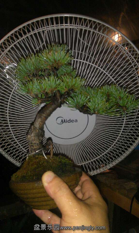 QQͼƬ20130829093715.jpg