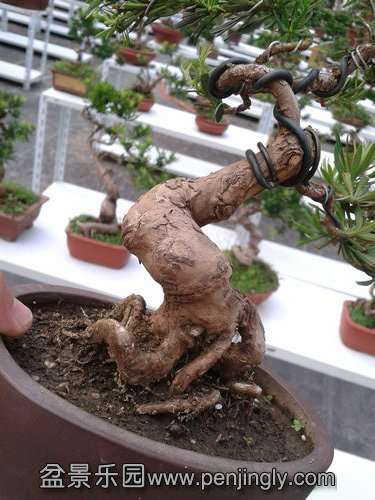 2013-08-28 17.26.18.jpg