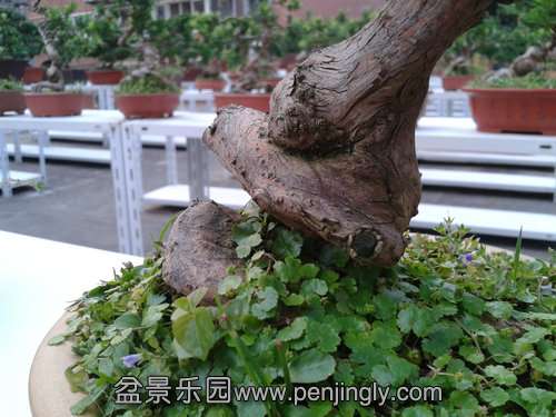 2013-08-28 17.33.15.jpg