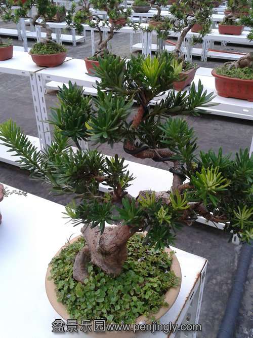 2013-08-28 17.33.39.jpg