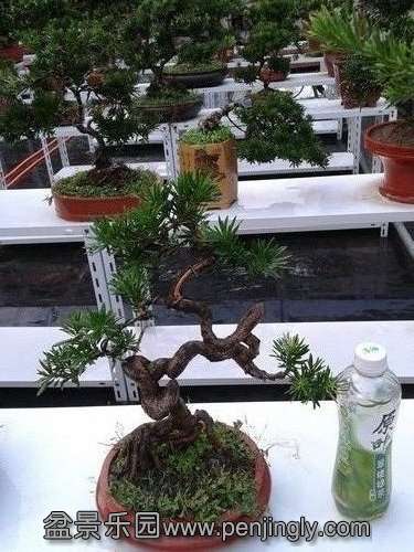 2013-08-28 17.45.33.jpg