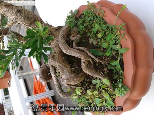 2013-08-28 17.05.34.jpg