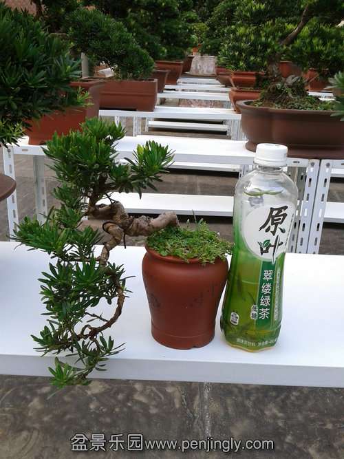 2013-08-28 17.10.25.jpg