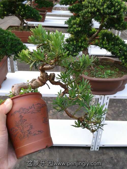 2013-08-28 17.15.06.jpg