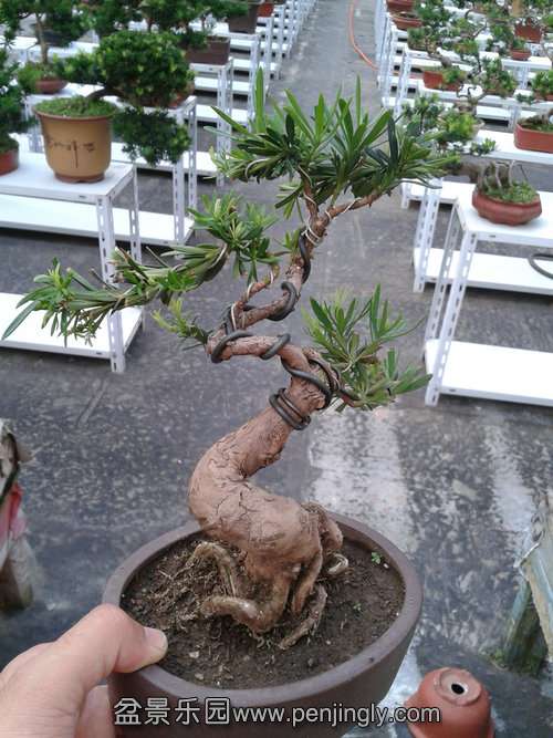 2013-08-28 17.25.00.jpg