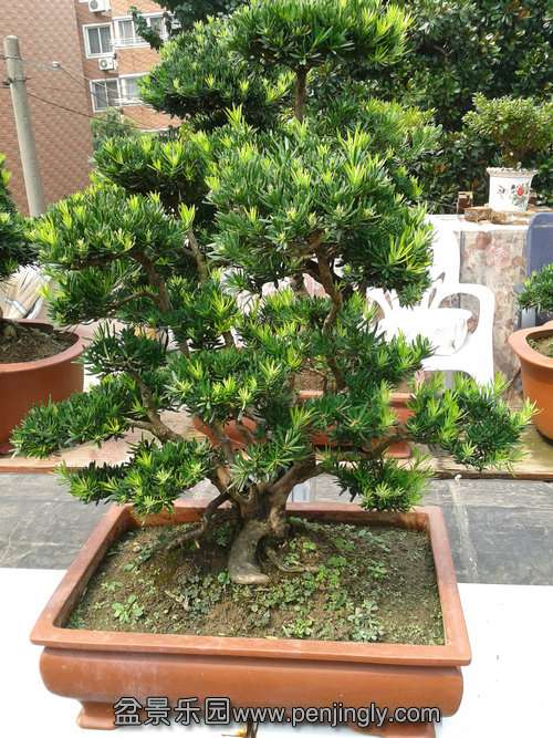 2013-08-30 13.36.50.jpg