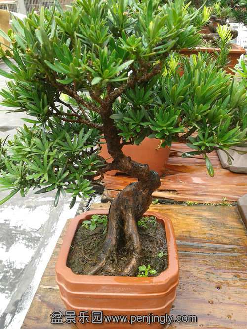 2013-08-30 12.57.01.jpg