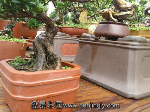 2013-08-30 12.57.13.jpg