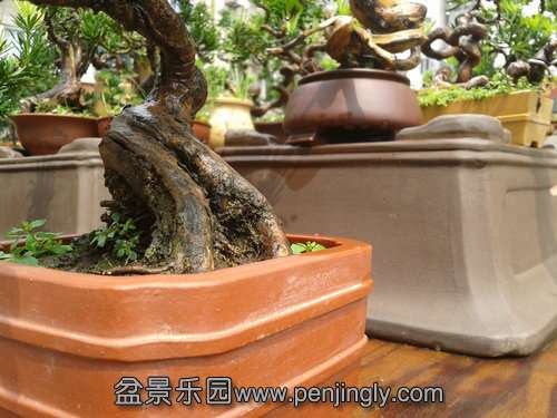 2013-08-30 12.57.41.jpg