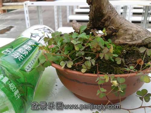 2013-08-30 13.55.34.jpg