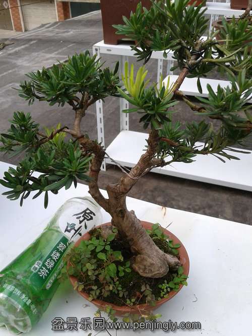 2013-08-30 13.55.53.jpg