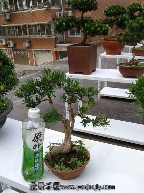 2013-08-30 13.56.27.jpg