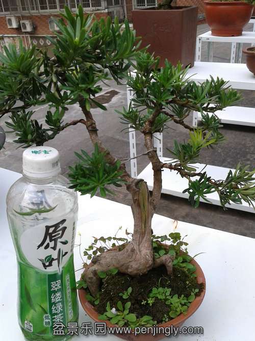 2013-08-30 13.56.36.jpg