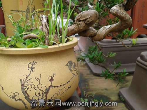 2013-08-30 14.00.33.jpg