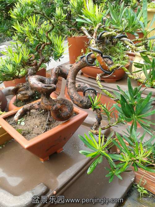 2013-08-30 12.56.06.jpg