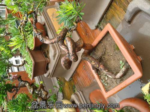 2013-08-30 12.56.23.jpg