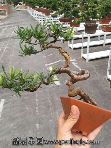 2013-08-30 13.12.18.jpg