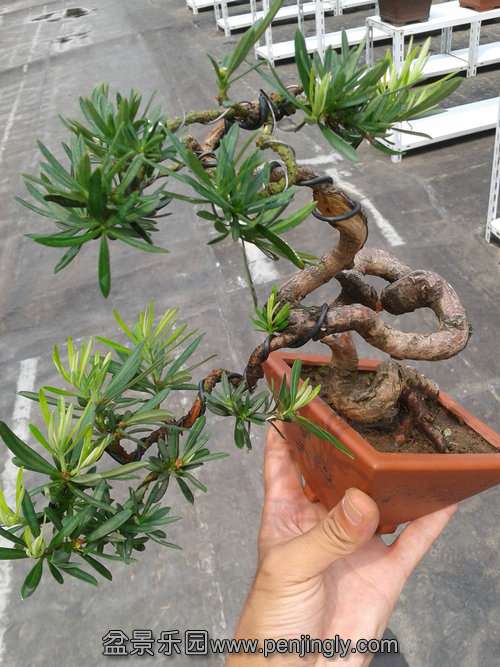 2013-08-30 13.12.32.jpg