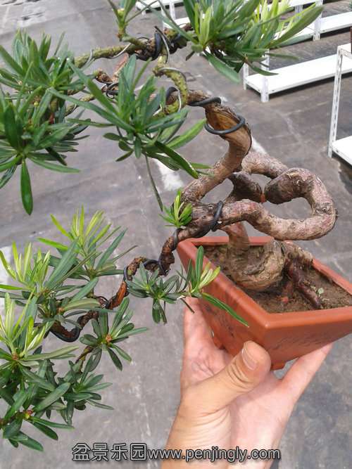 2013-08-30 13.12.40.jpg