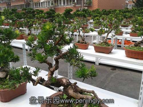 2013-08-30 13.18.29.jpg