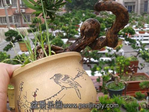 2013-08-30 13.07.54.jpg