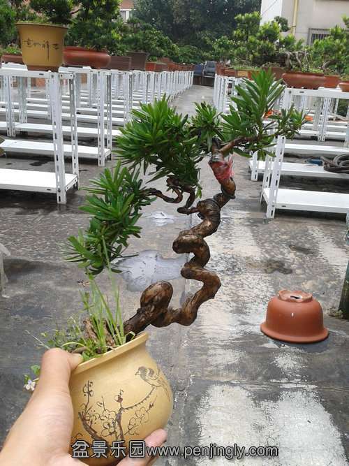 2013-08-30 13.08.56.jpg