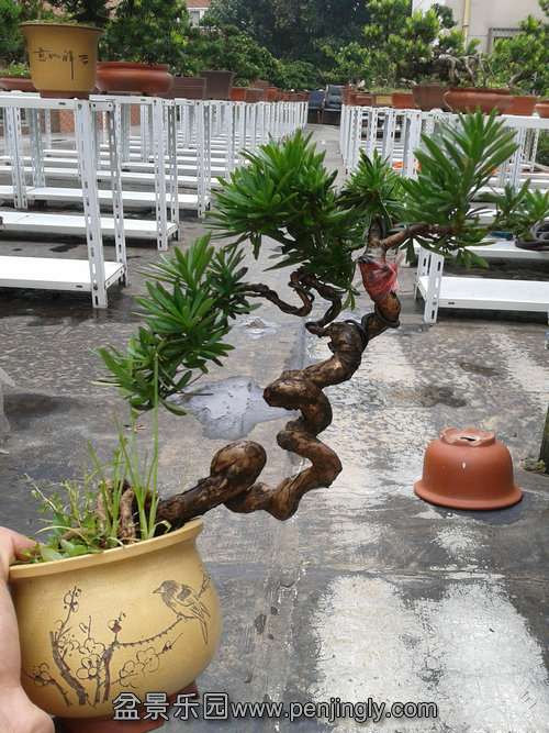 2013-08-30 13.10.01.jpg