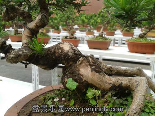 2013-08-30 13.18.08.jpg