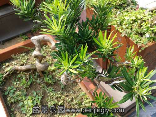 2013-09-01 14.06.15.jpg