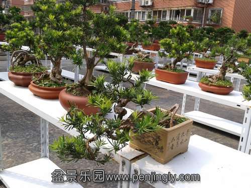 2013-09-01 14.02.59.jpg