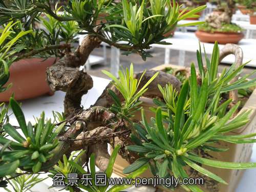 2013-09-01 14.03.29.jpg