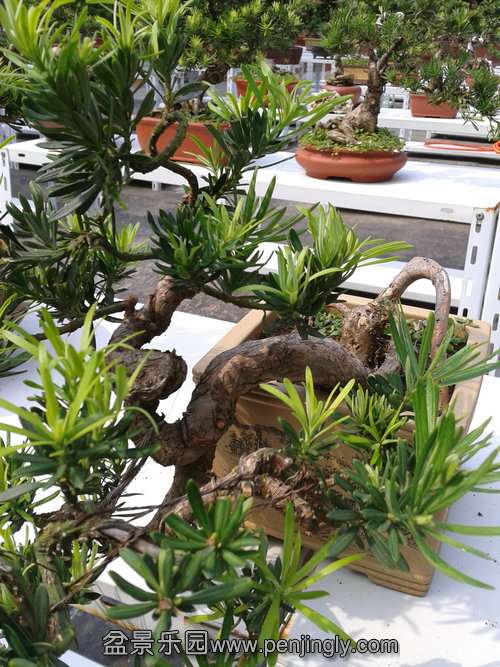 2013-09-01 14.03.45.jpg