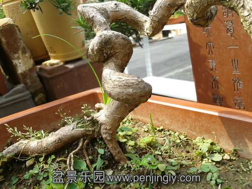 2013-09-01 14.05.37.jpg