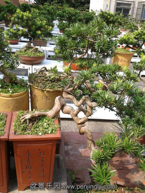 2013-09-01 14.06.38.jpg